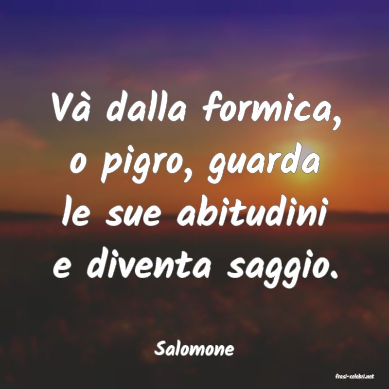 frasi di Salomone