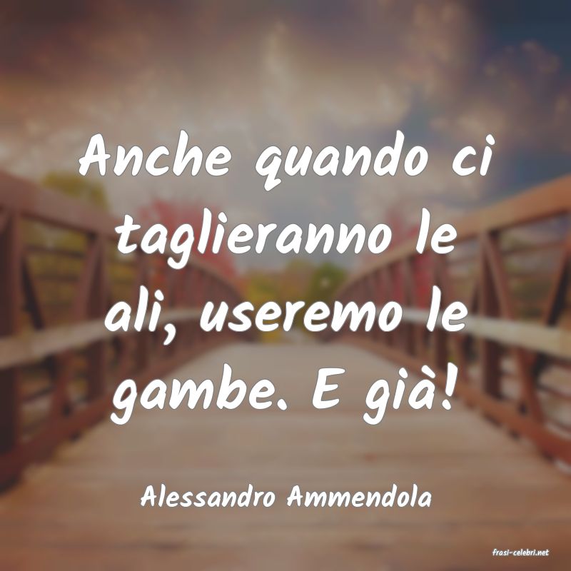 frasi di  Alessandro Ammendola
