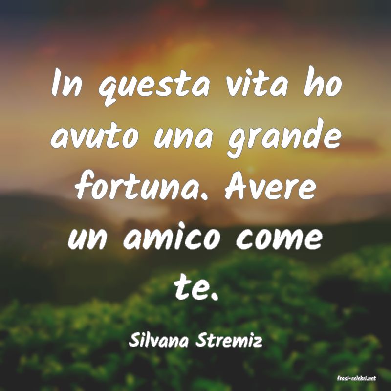 frasi di  Silvana Stremiz
