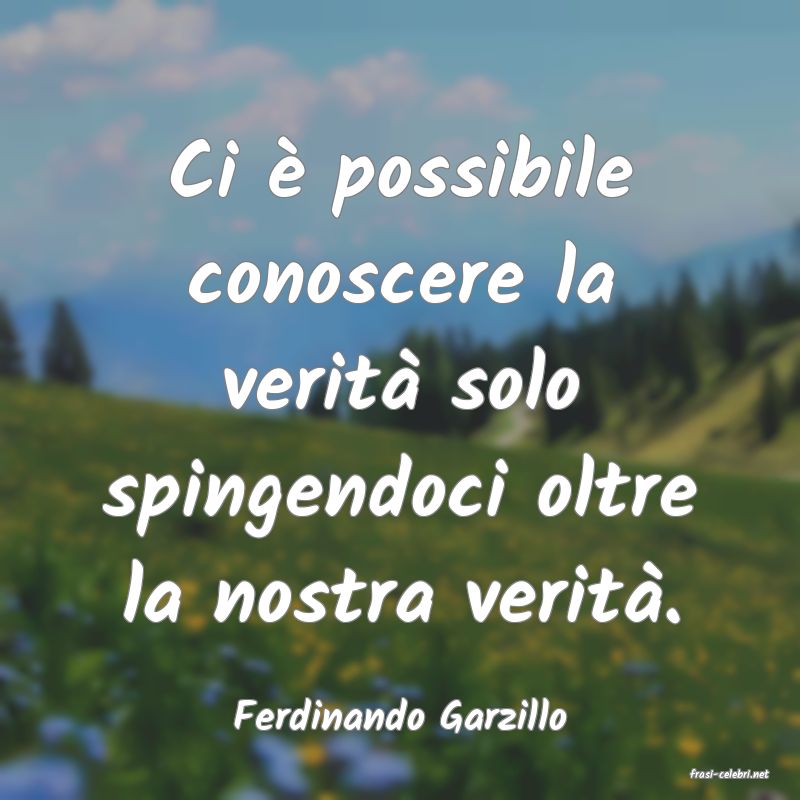 frasi di Ferdinando Garzillo