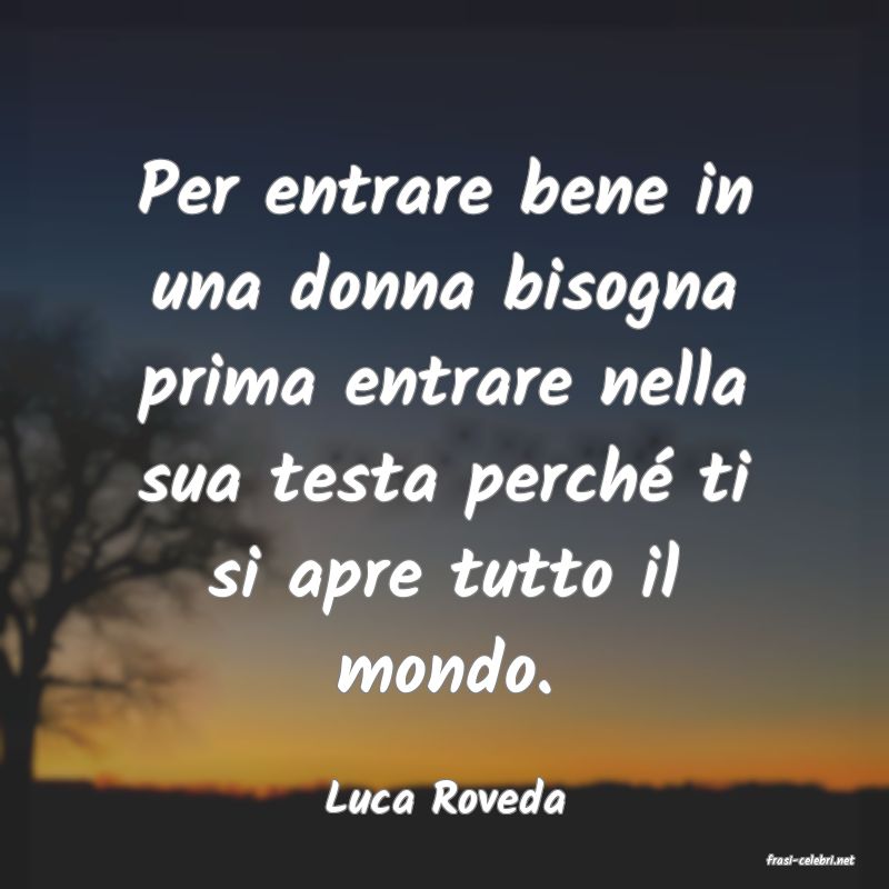 frasi di Luca Roveda