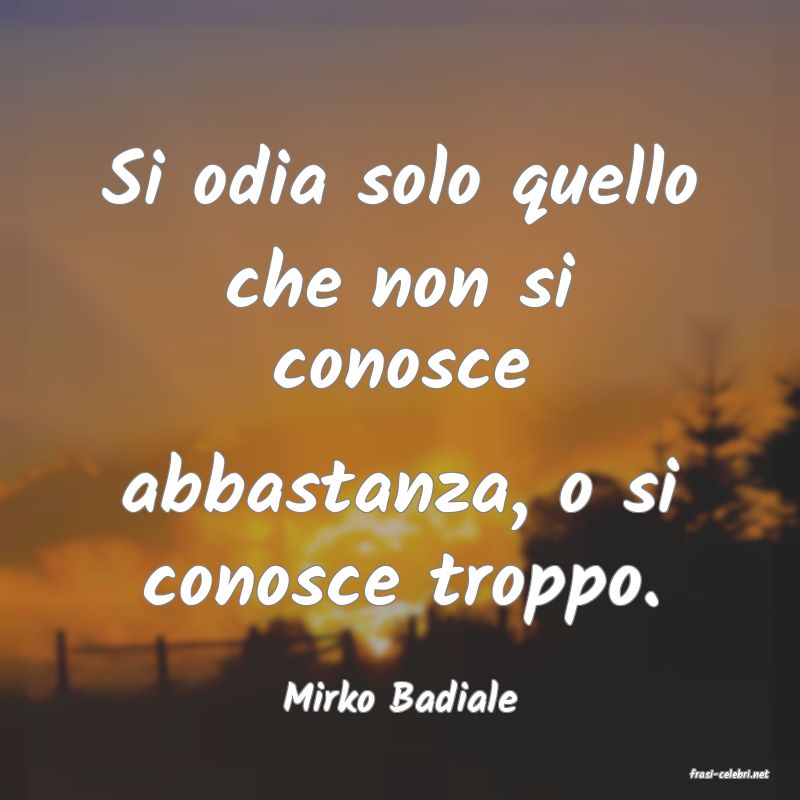 frasi di  Mirko Badiale
