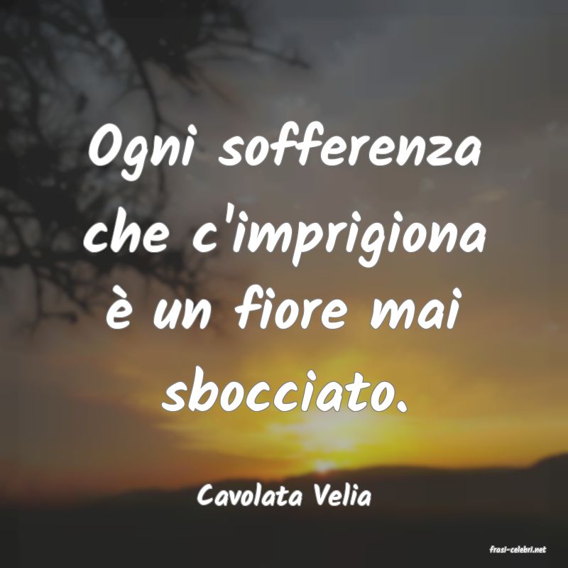 frasi di  Cavolata Velia
