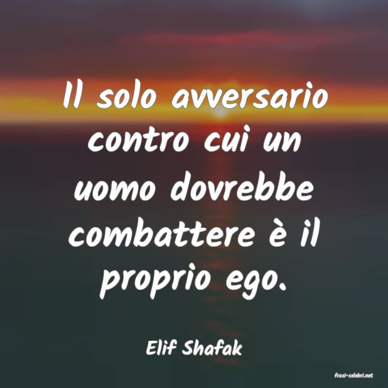 frasi di Elif Shafak
