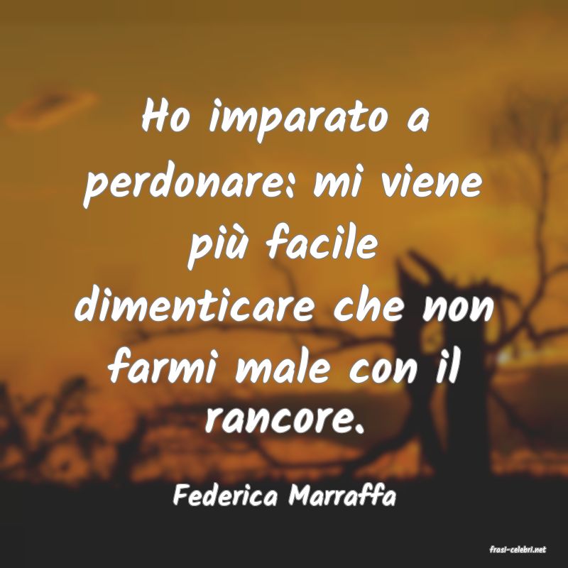 frasi di  Federica Marraffa
