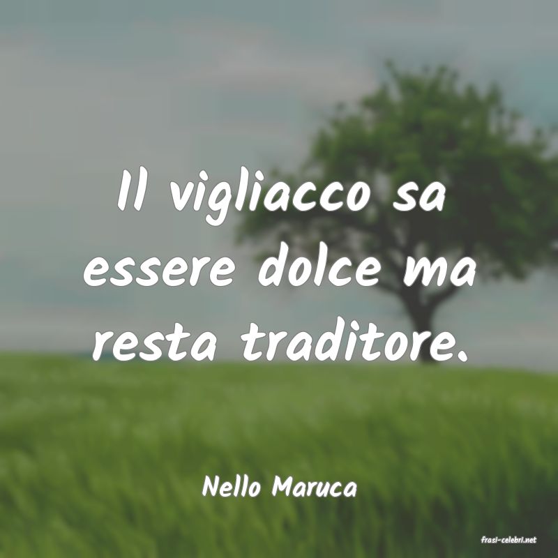 frasi di  Nello Maruca
