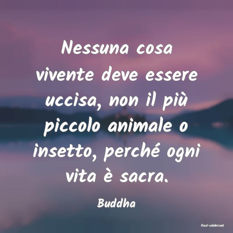 frasi di  Buddha
