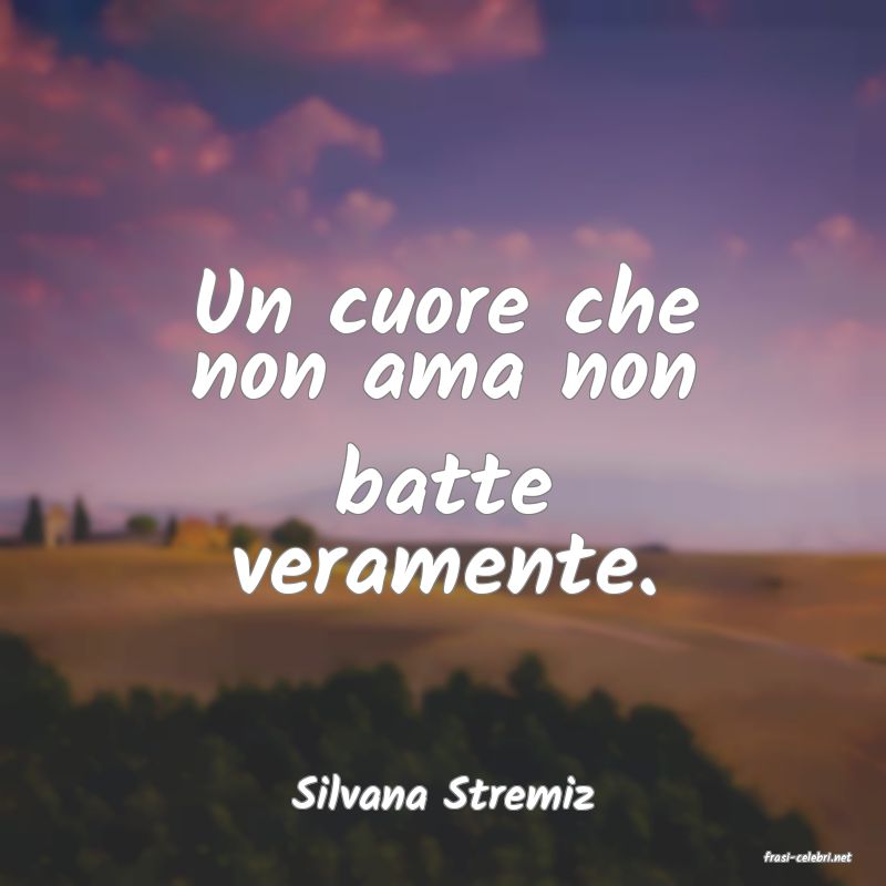 frasi di Silvana Stremiz