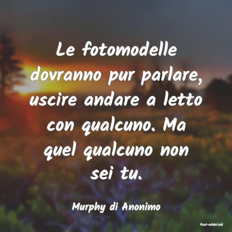 frasi di Murphy di Anonimo