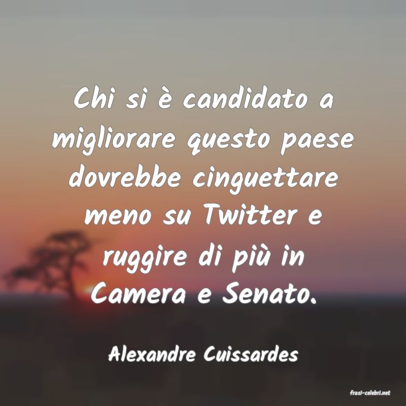 frasi di  Alexandre Cuissardes
