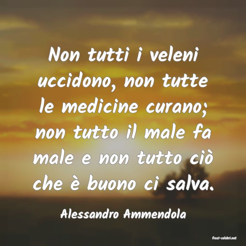 frasi di  Alessandro Ammendola
