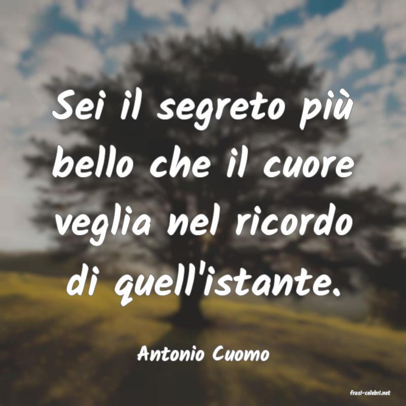 frasi di  Antonio Cuomo
