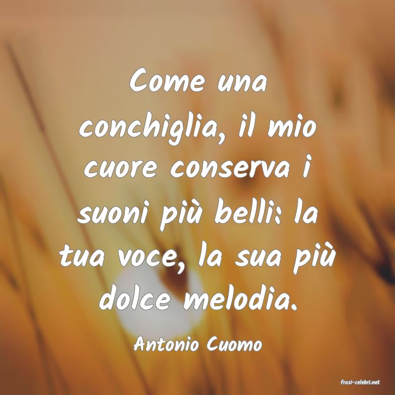 frasi di  Antonio Cuomo
