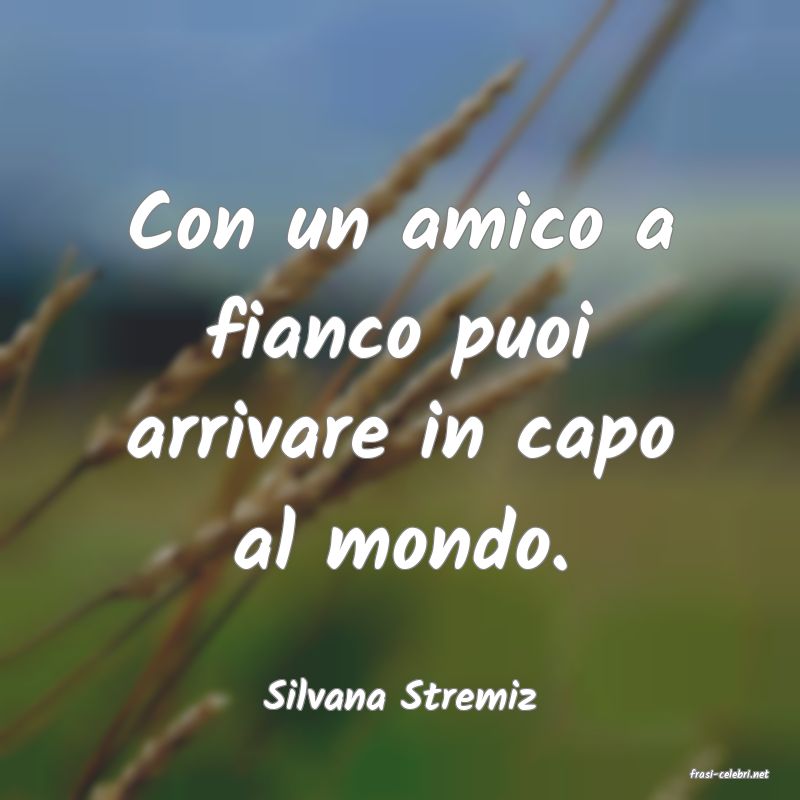 frasi di  Silvana Stremiz
