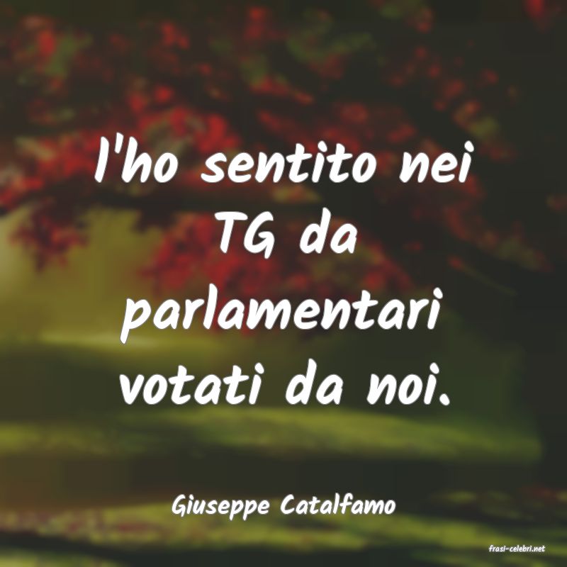 frasi di Giuseppe Catalfamo