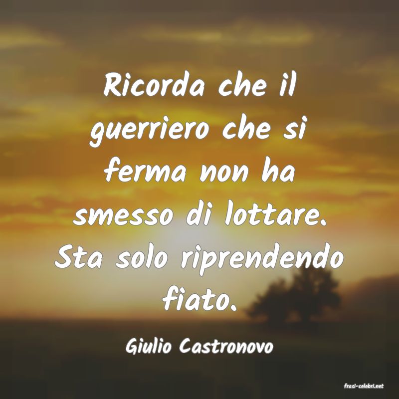 frasi di  Giulio Castronovo
