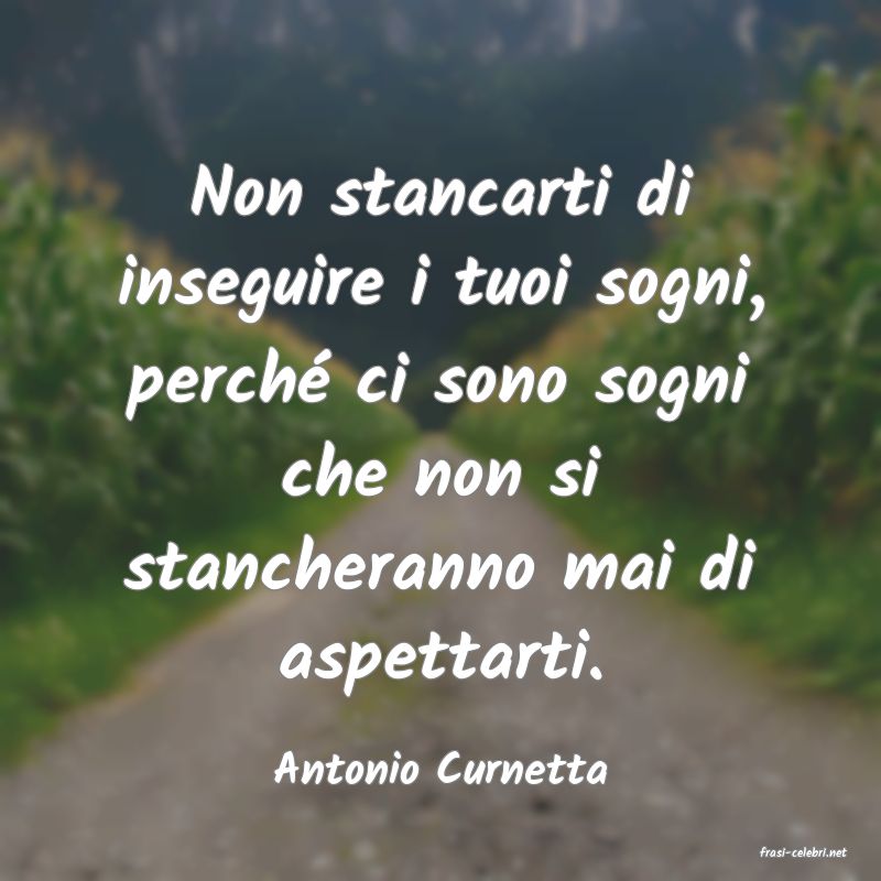 frasi di  Antonio Curnetta
