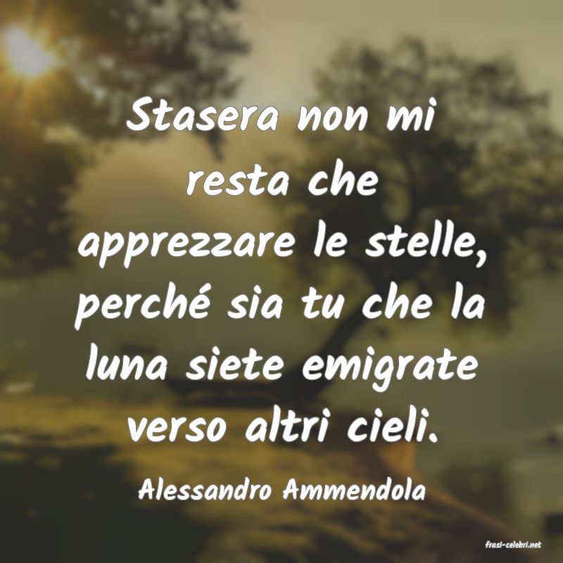 frasi di Alessandro Ammendola