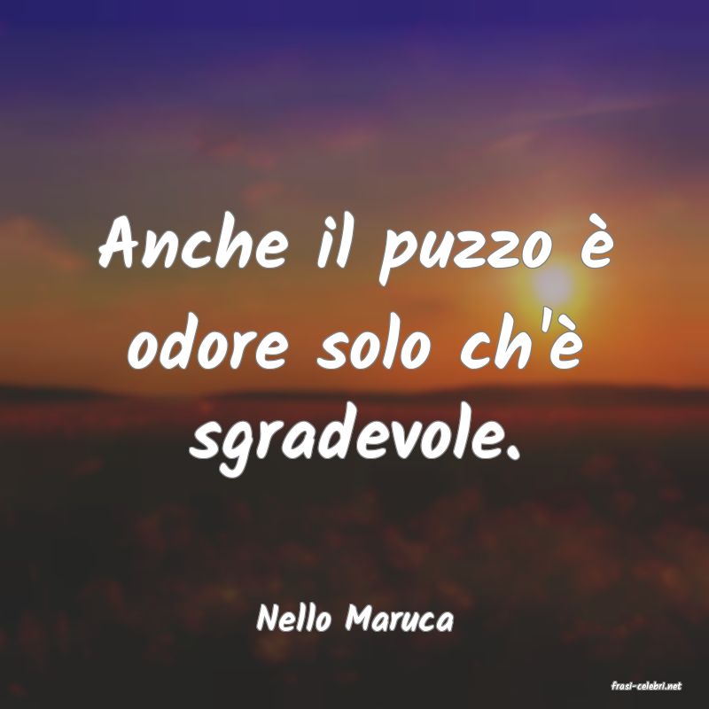 frasi di  Nello Maruca
