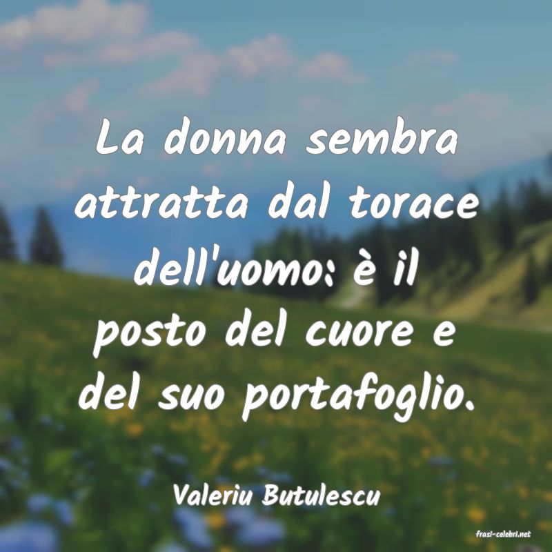 frasi di Valeriu Butulescu