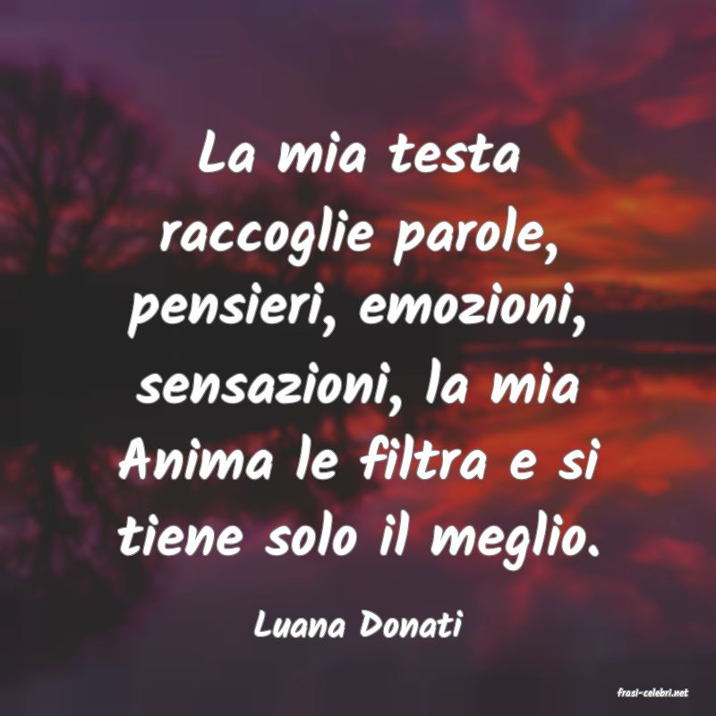 frasi di  Luana Donati
