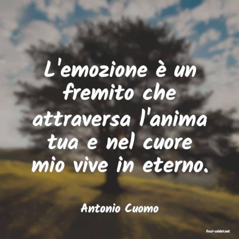 frasi di  Antonio Cuomo
