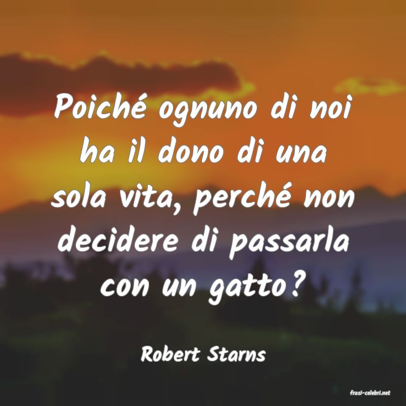 frasi di  Robert Starns
