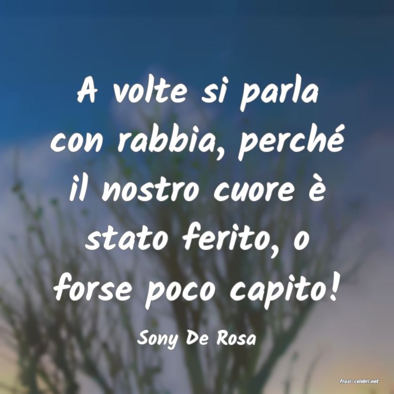 frasi di  Sony De Rosa
