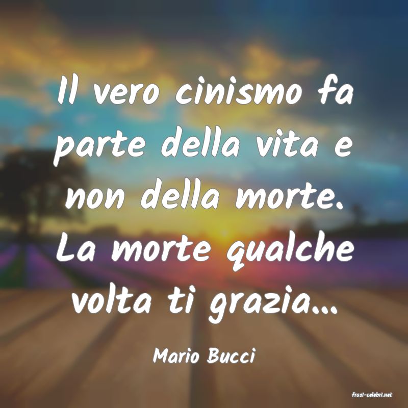 frasi di  Mario Bucci
