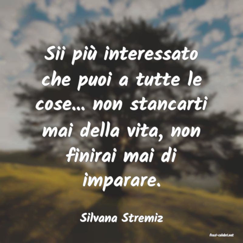 frasi di Silvana Stremiz