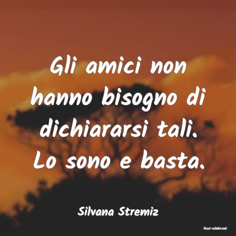 frasi di Silvana Stremiz