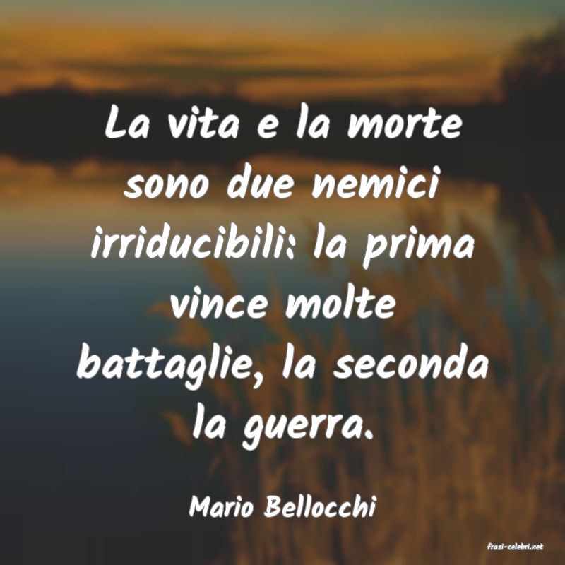frasi di Mario Bellocchi
