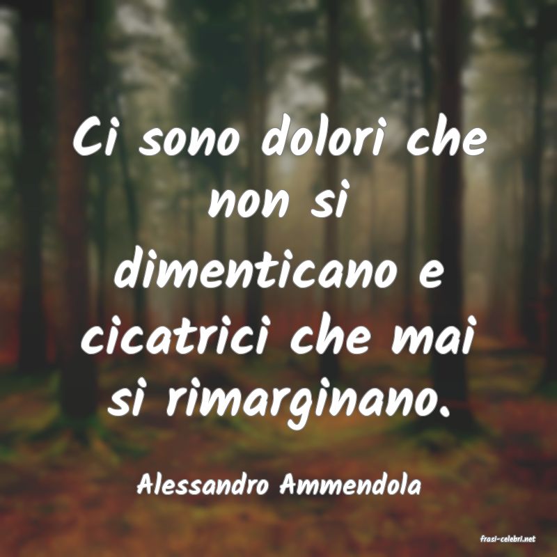 frasi di  Alessandro Ammendola
