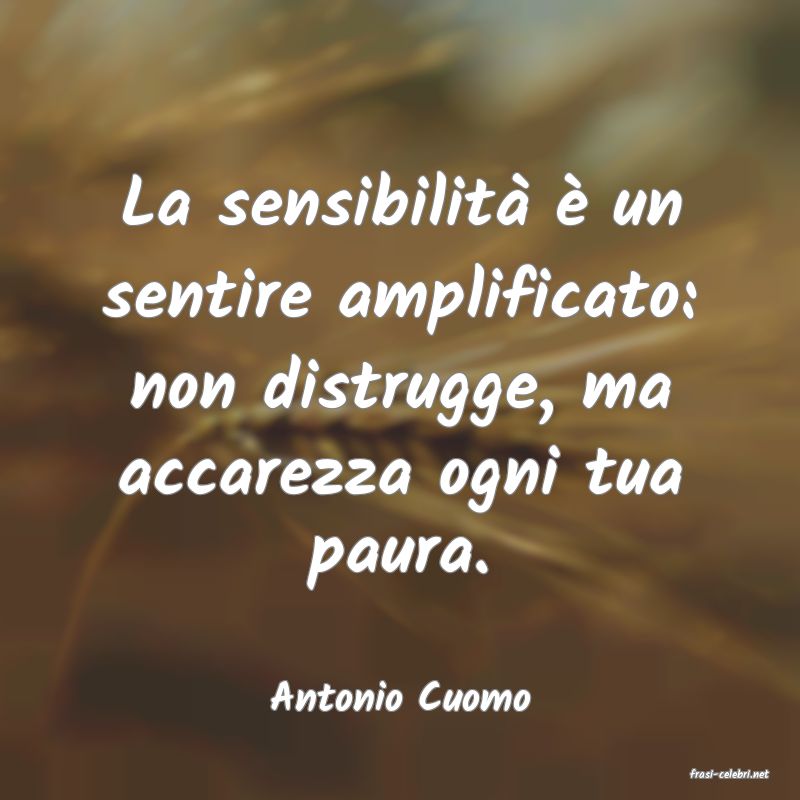 frasi di  Antonio Cuomo
