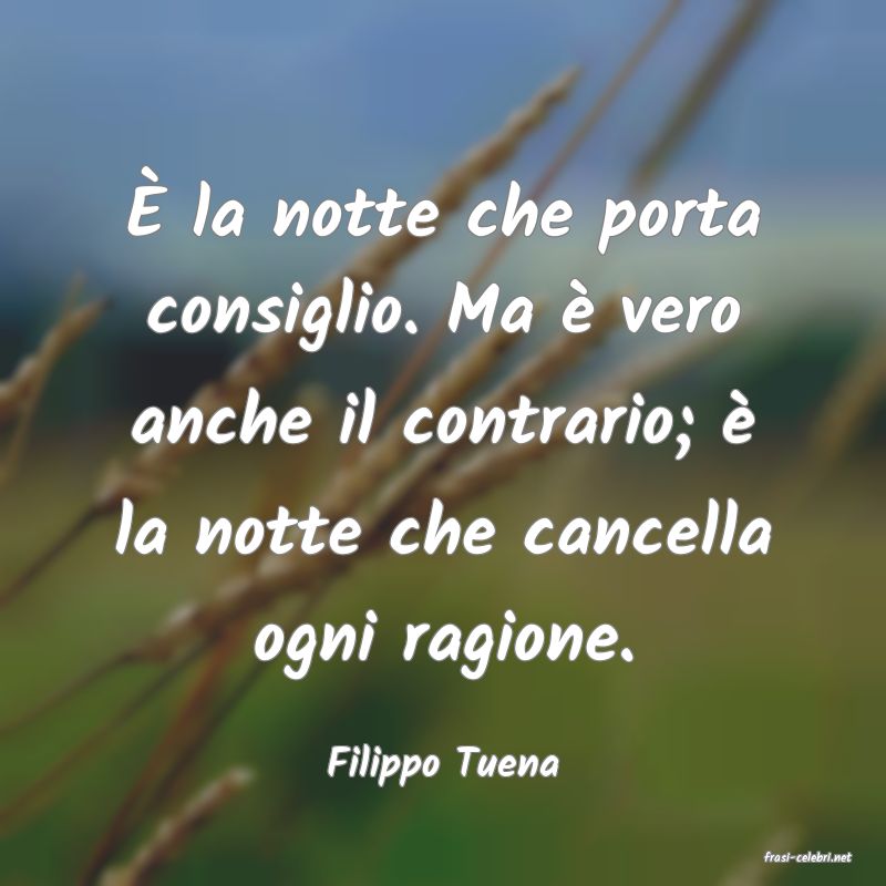 frasi di  Filippo Tuena
