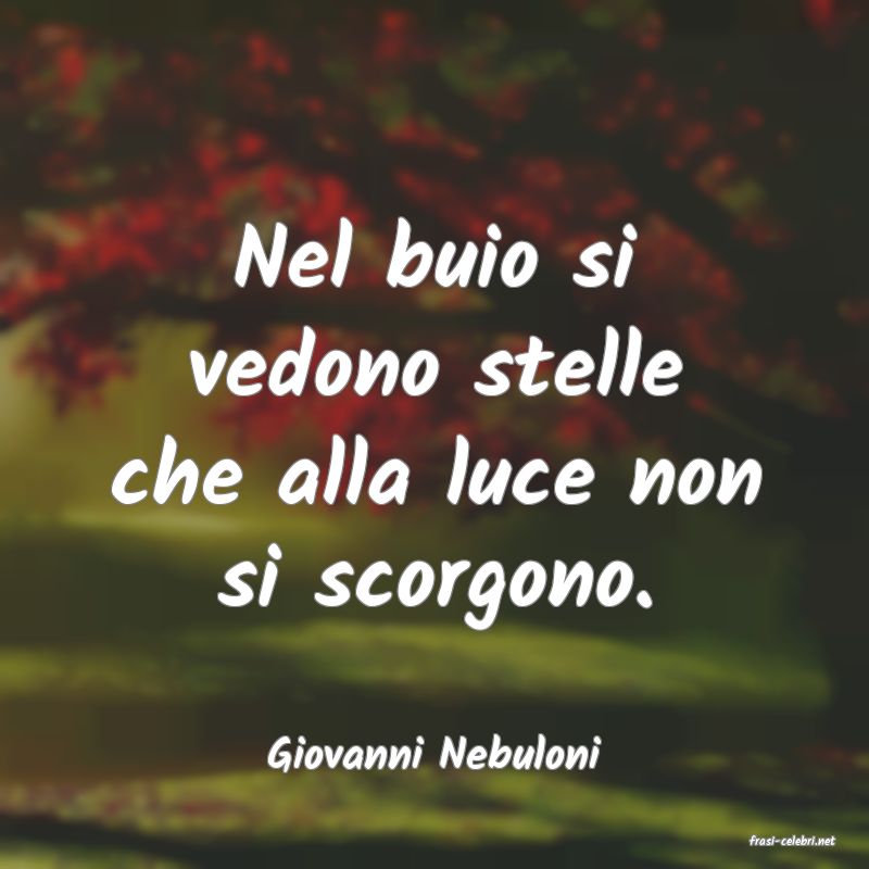 frasi di  Giovanni Nebuloni
