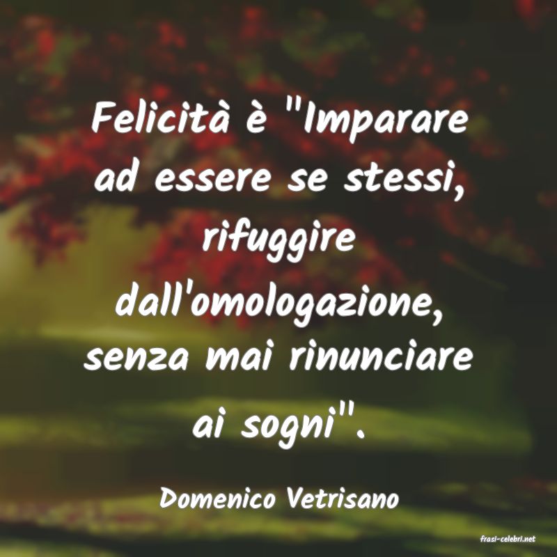 frasi di Domenico Vetrisano