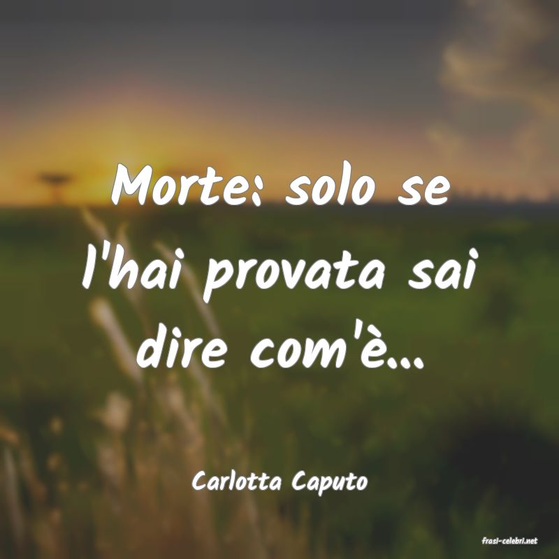 frasi di  Carlotta Caputo

