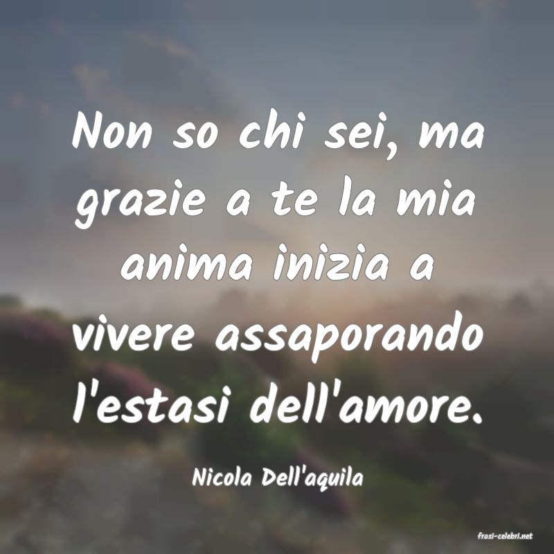 frasi di  Nicola Dell'aquila
