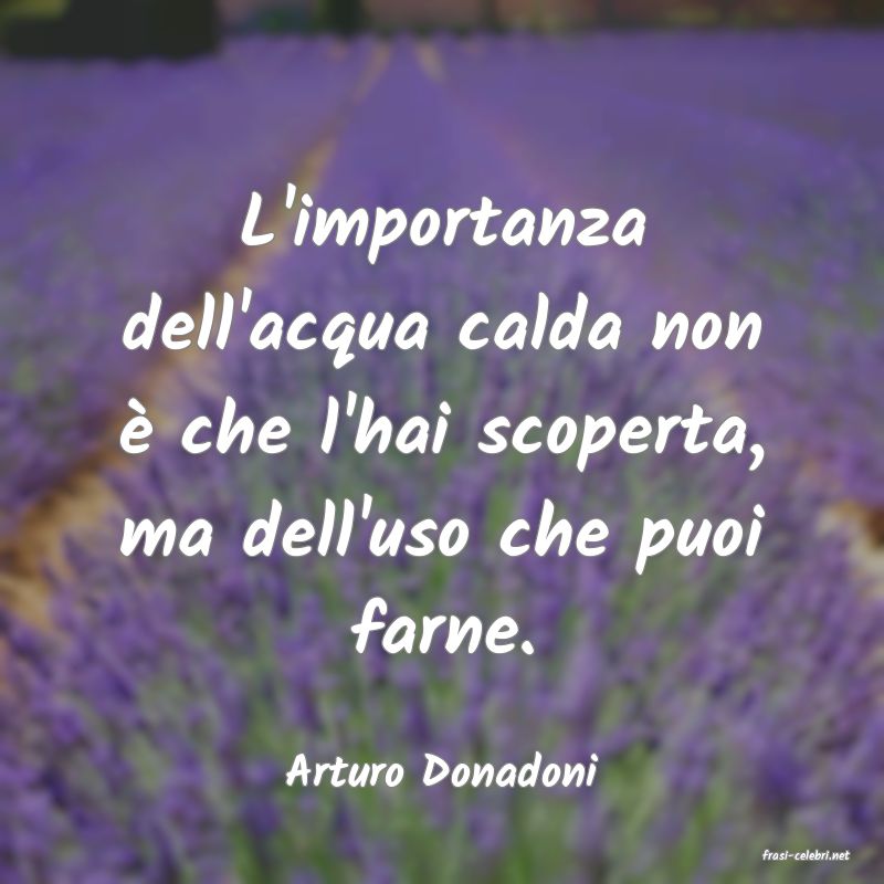 frasi di  Arturo Donadoni
