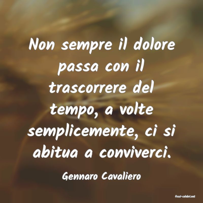 frasi di  Gennaro Cavaliero
