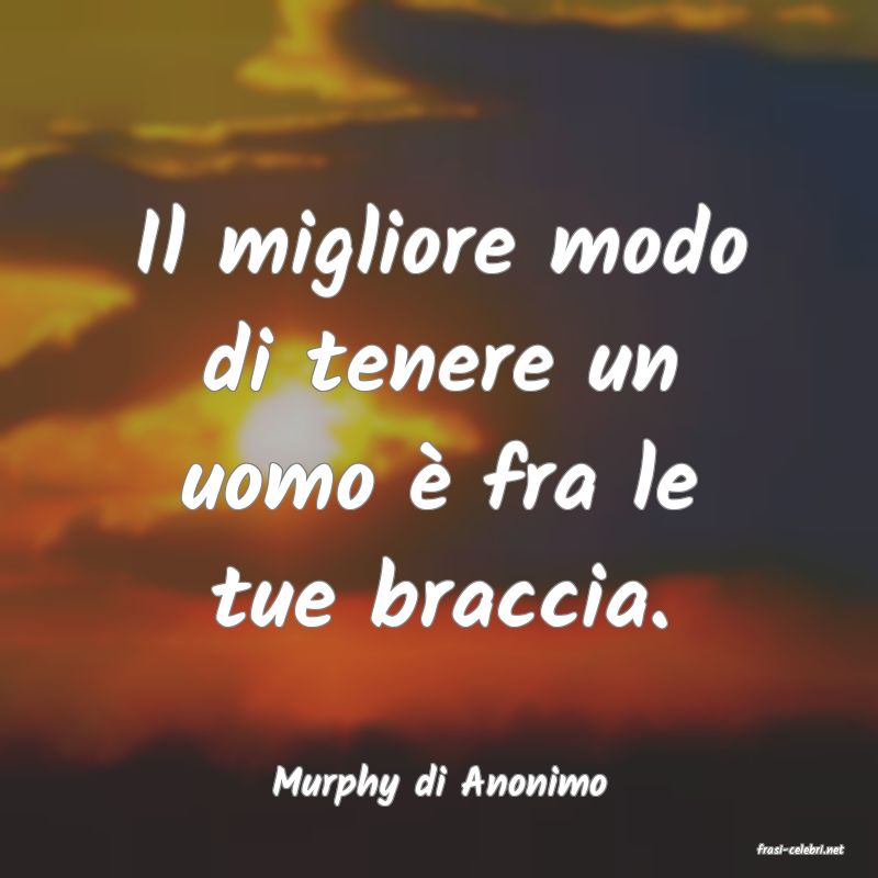 frasi di Murphy di Anonimo