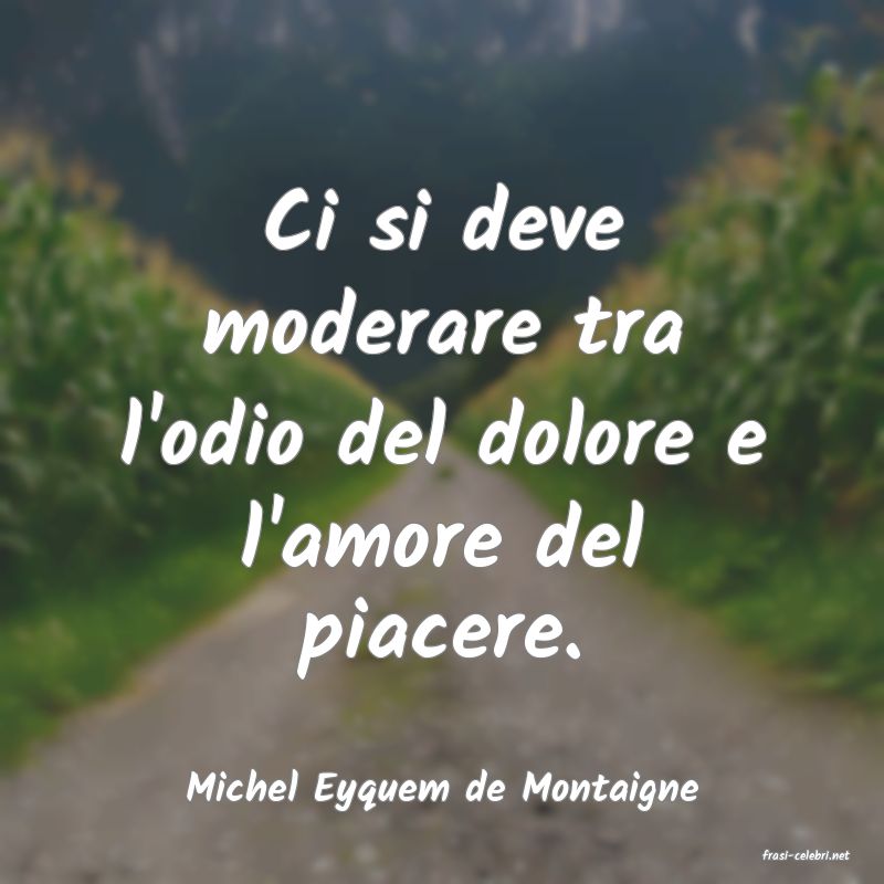 frasi di Michel Eyquem de Montaigne