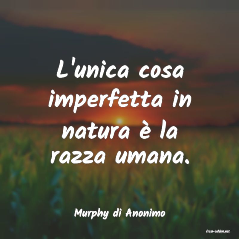 frasi di Murphy di Anonimo