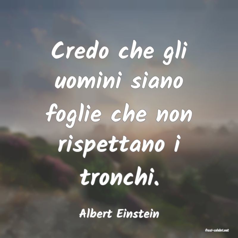 frasi di Albert Einstein