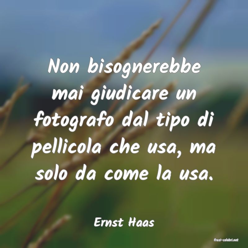 frasi di Ernst Haas