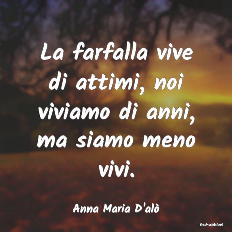 frasi di Anna Maria D'al