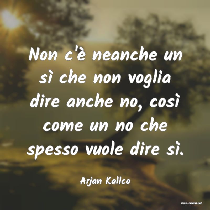 frasi di  Arjan Kallco
