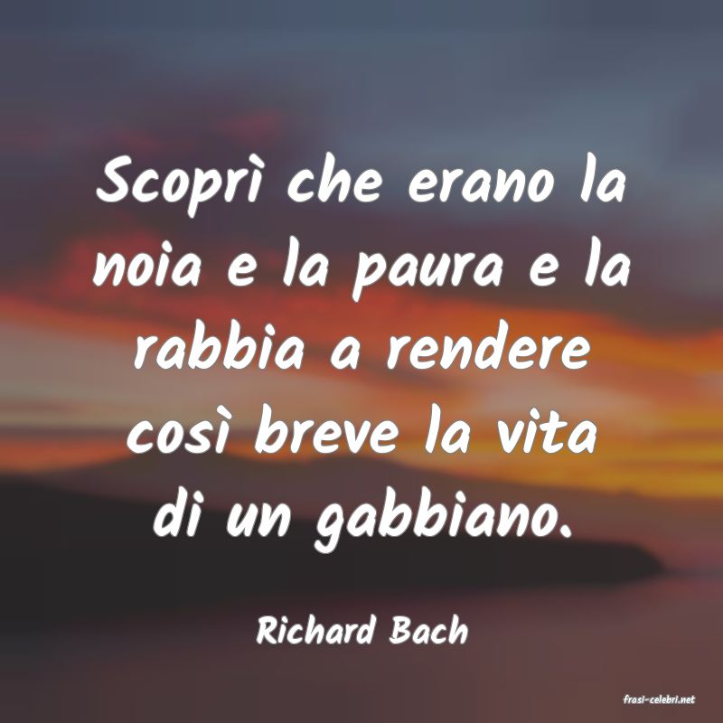 frasi di  Richard Bach

