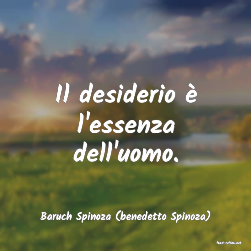 frasi di  Baruch Spinoza (benedetto Spinoza)

